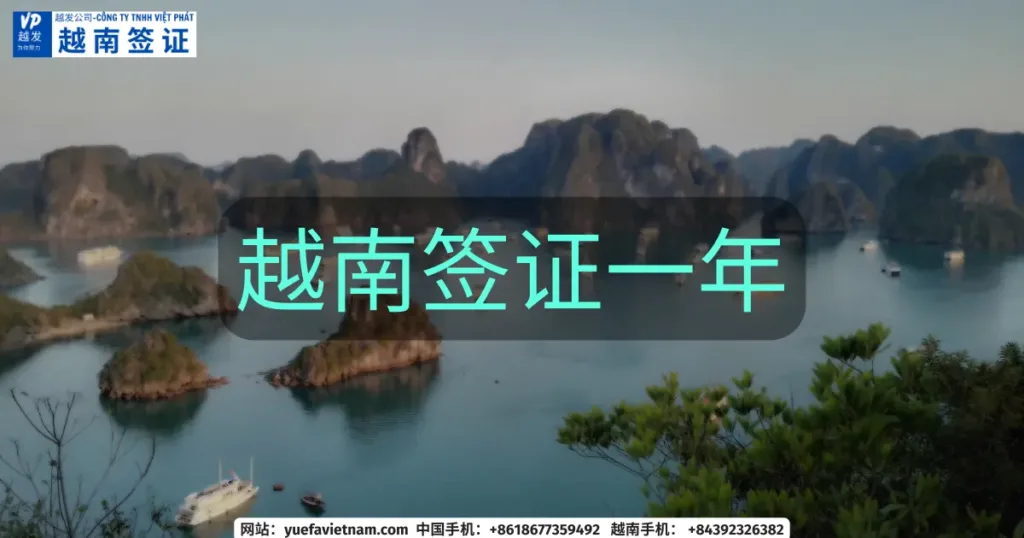 越南签证一年